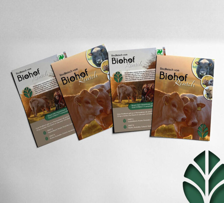mehrere Flyer des Biohof Reusch mit Fotos von Rindern, Familie und Natur sowie Informationen zu Rindfleischpaketen