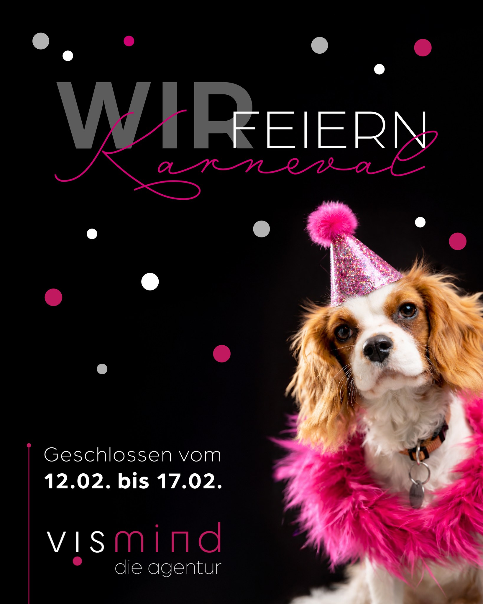 Werbegrafik der Agentur vismind zum Karneval: Ein Cavalier King Charles Spaniel mit pinkem Glitzerhut und Federboa vor schwarzem Hintergrund mit Konfetti. Text: „WIR FEIERN Karneval – Geschlossen vom 12.02. bis 17.02.“